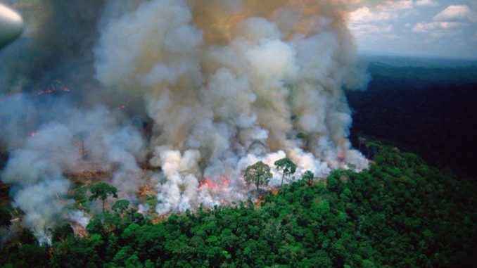 amazzonia in fiamme